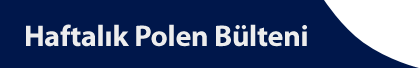 Bülten